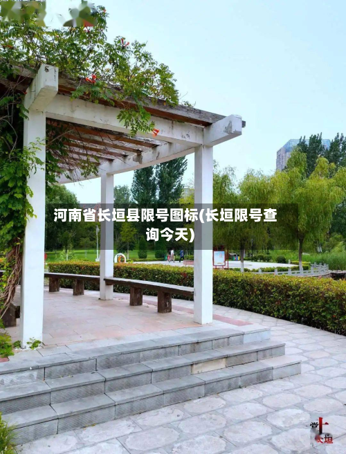 河南省长垣县限号图标(长垣限号查询今天)