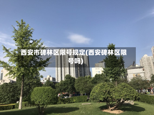 西安市碑林区限号规定(西安碑林区限号吗)