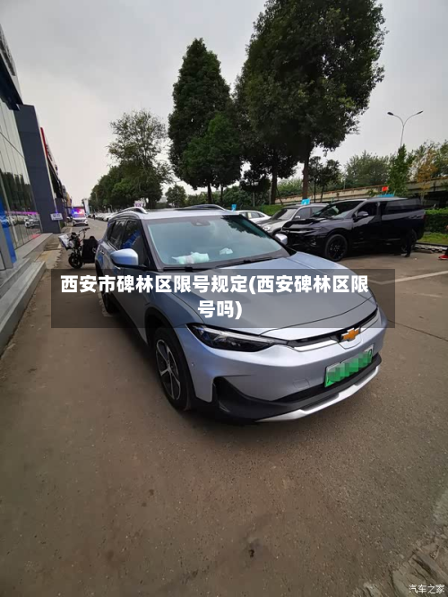 西安市碑林区限号规定(西安碑林区限号吗)-第3张图片