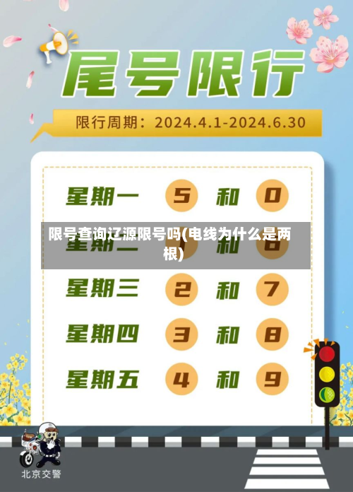 限号查询辽源限号吗(电线为什么是两根)-第3张图片
