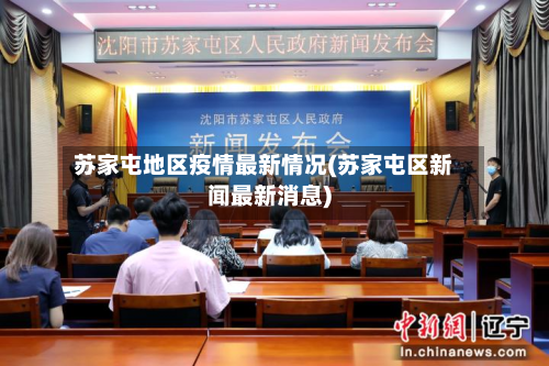 苏家屯地区疫情最新情况(苏家屯区新闻最新消息)-第2张图片
