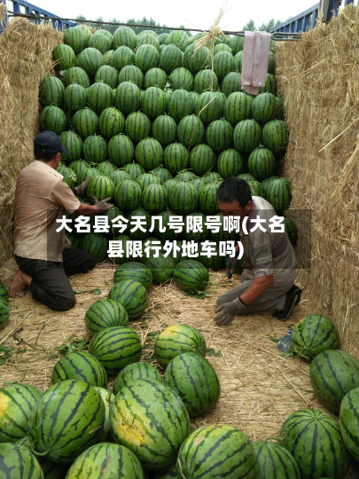 大名县今天几号限号啊(大名县限行外地车吗)