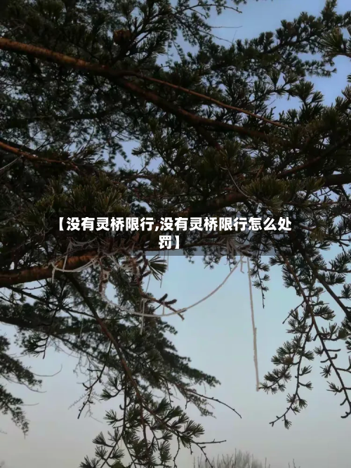 【没有灵桥限行,没有灵桥限行怎么处罚】