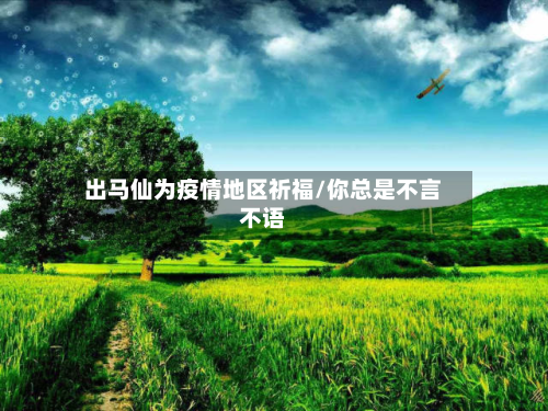 出马仙为疫情地区祈福/你总是不言不语