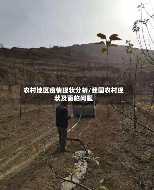 农村地区疫情现状分析/我国农村现状及面临问题-第2张图片