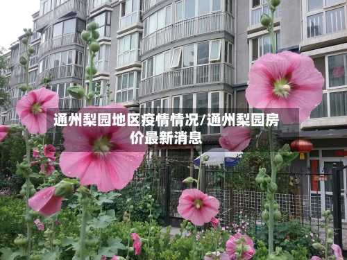 通州梨园地区疫情情况/通州梨园房价最新消息