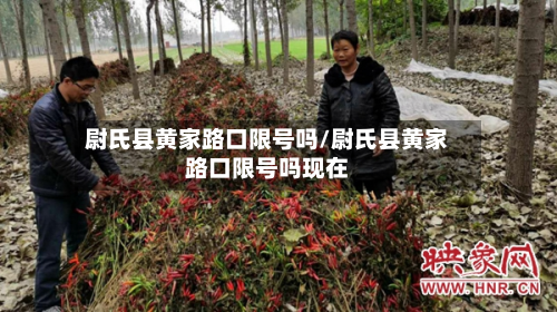 尉氏县黄家路口限号吗/尉氏县黄家路口限号吗现在-第2张图片