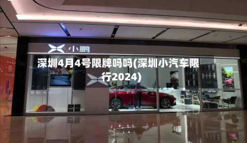 深圳4月4号限牌吗吗(深圳小汽车限行2024)-第2张图片