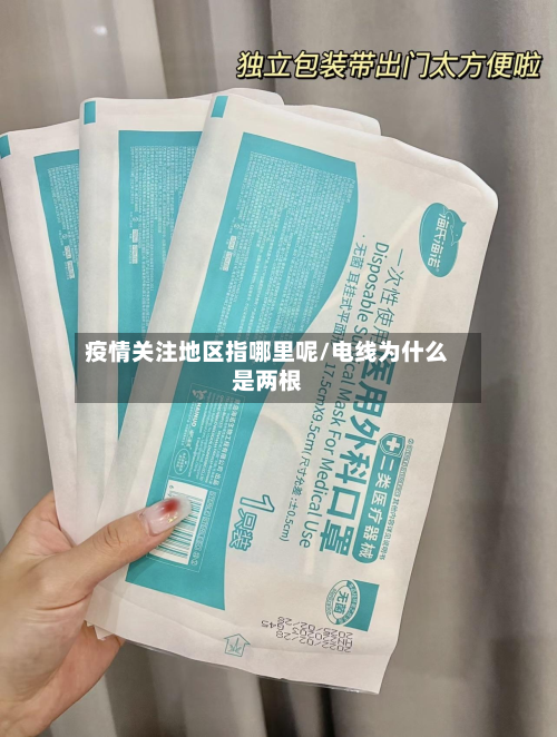 疫情关注地区指哪里呢/电线为什么是两根-第2张图片