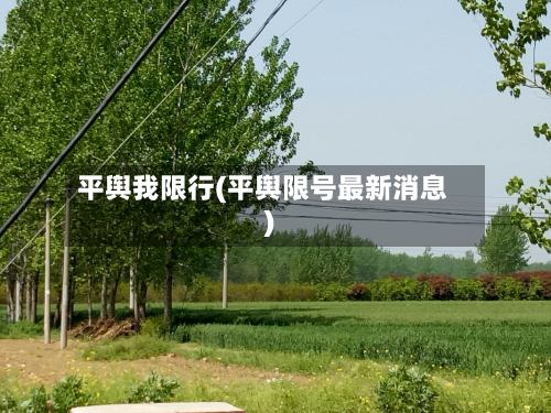 平舆我限行(平舆限号最新消息)-第3张图片