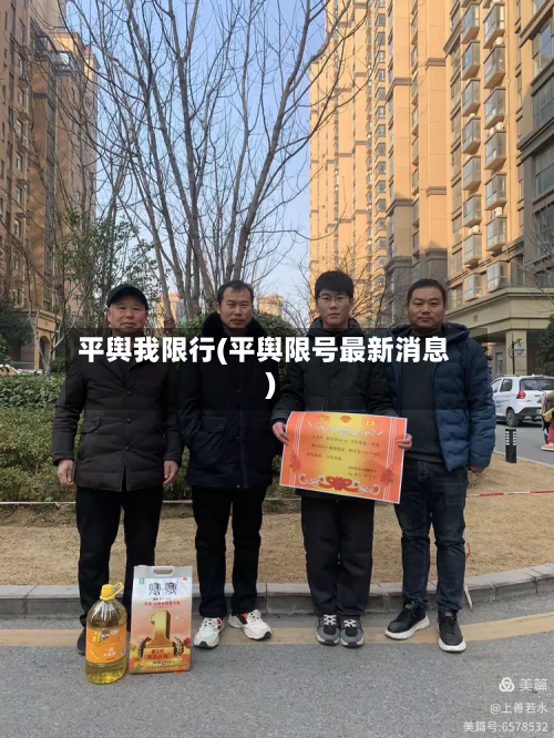 平舆我限行(平舆限号最新消息)