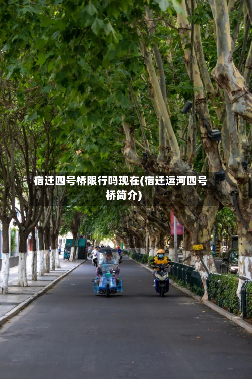 宿迁四号桥限行吗现在(宿迁运河四号桥简介)