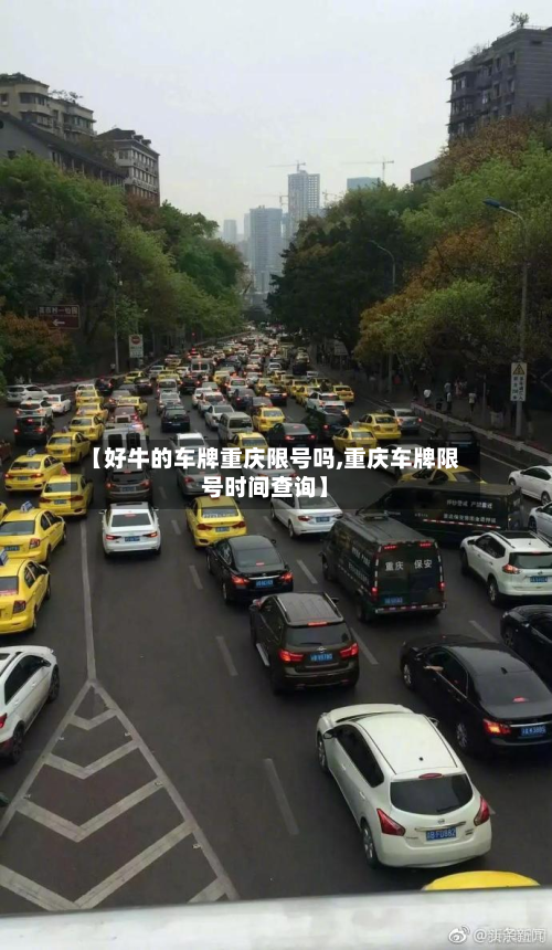 【好牛的车牌重庆限号吗,重庆车牌限号时间查询】-第2张图片