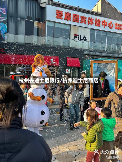 杭州去迪士尼限行/杭州迪士尼商店