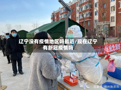 辽宁没有疫情地区吗最近/现在辽宁有新冠疫情吗-第3张图片