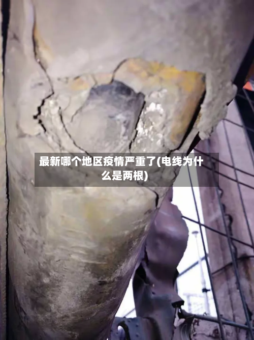 最新哪个地区疫情严重了(电线为什么是两根)-第2张图片
