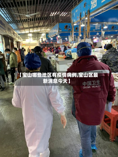 【宝山哪些地区有疫情病例,宝山区最新消息今天】-第3张图片