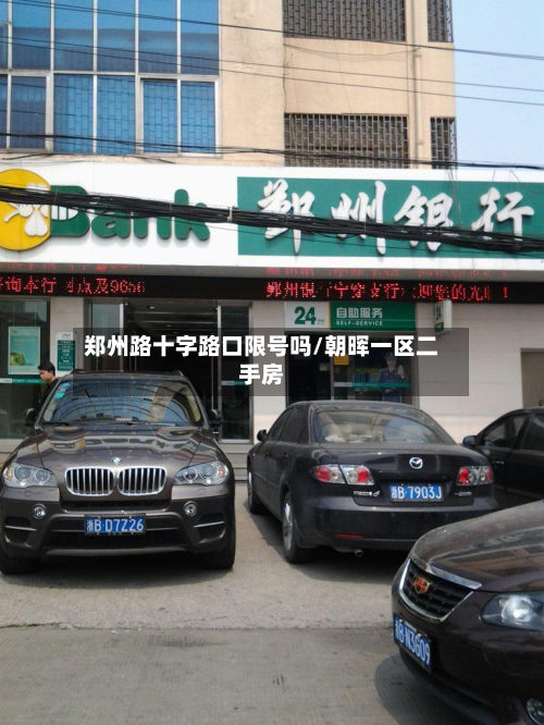 郑州路十字路口限号吗/朝晖一区二手房