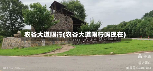 农谷大道限行(农谷大道限行吗现在)-第2张图片