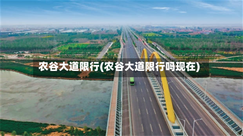 农谷大道限行(农谷大道限行吗现在)-第3张图片