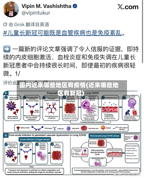 国内近来哪些地区有疫情(近来哪些地区有新冠)-第3张图片