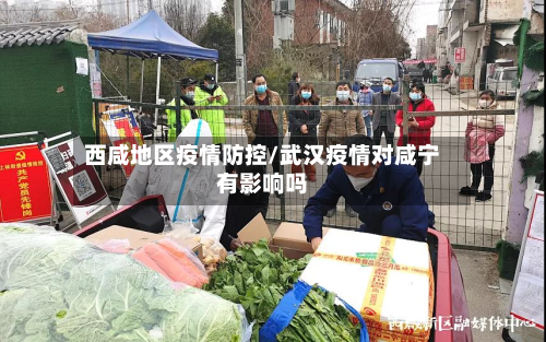 西咸地区疫情防控/武汉疫情对咸宁有影响吗-第3张图片