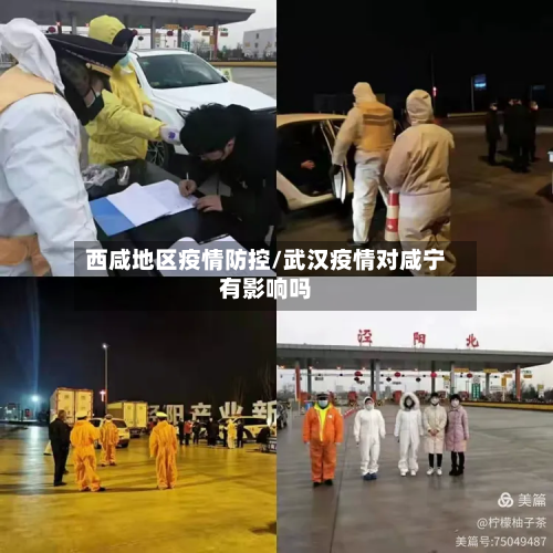 西咸地区疫情防控/武汉疫情对咸宁有影响吗-第2张图片