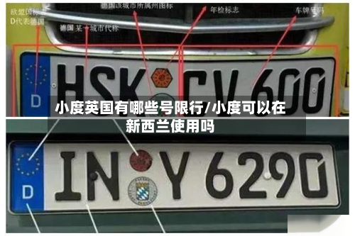 小度英国有哪些号限行/小度可以在新西兰使用吗