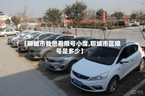 【聊城市我想看限号小度,聊城市区限号是多少】-第3张图片