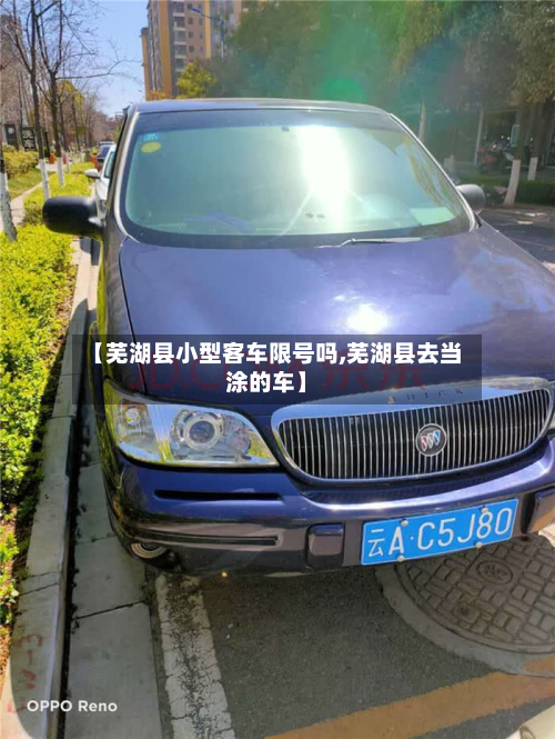 【芜湖县小型客车限号吗,芜湖县去当涂的车】-第2张图片