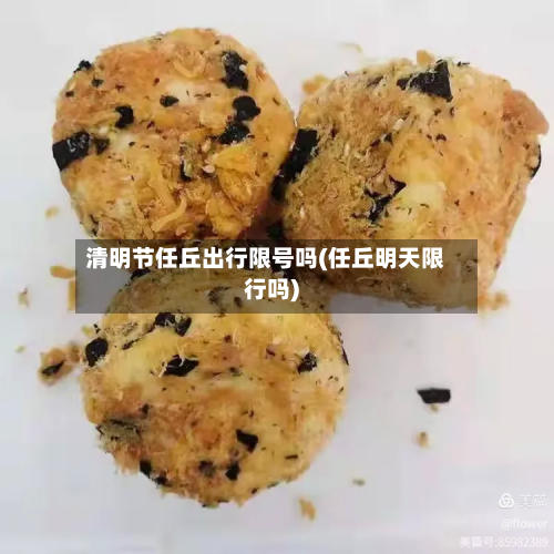 清明节任丘出行限号吗(任丘明天限行吗)