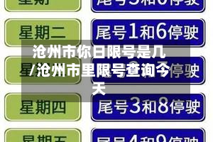 沧州市你日限号是几/沧州市里限号查询今天-第3张图片
