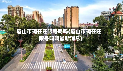 眉山市现在还限号吗吗(眉山市现在还限号吗吗最新消息)-第2张图片