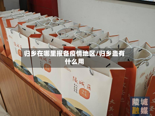 归乡在哪里报备疫情地区/归乡蛊有什么用