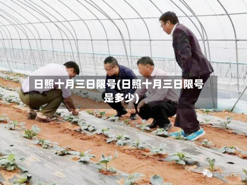 日照十月三日限号(日照十月三日限号是多少)-第2张图片