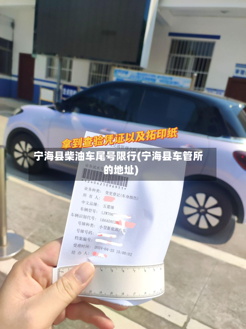 宁海县柴油车尾号限行(宁海县车管所的地址)