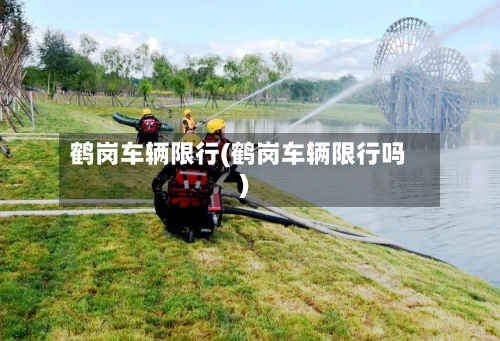 鹤岗车辆限行(鹤岗车辆限行吗)-第2张图片