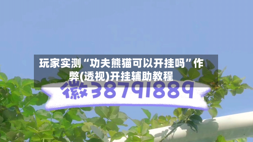 玩家实测“功夫熊猫可以开挂吗”作弊(透视)开挂辅助教程