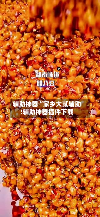 辅助神器“家乡大贰辅助!辅助神器插件下载-第2张图片