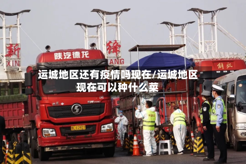 运城地区还有疫情吗现在/运城地区现在可以种什么菜-第3张图片