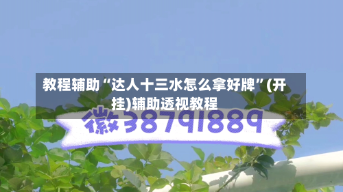 教程辅助“达人十三水怎么拿好牌”(开挂)辅助透视教程-第2张图片