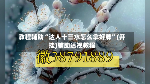 教程辅助“达人十三水怎么拿好牌”(开挂)辅助透视教程