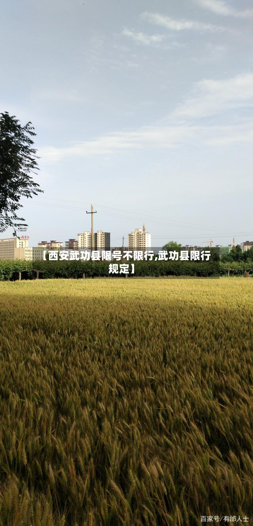 【西安武功县限号不限行,武功县限行规定】-第2张图片