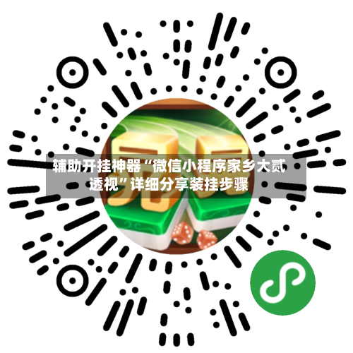 辅助开挂神器“微信小程序家乡大贰透视”详细分享装挂步骤-第3张图片