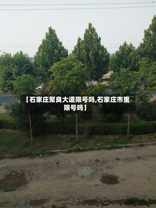 【石家庄聚良大道限号吗,石家庄市里限号吗】-第3张图片