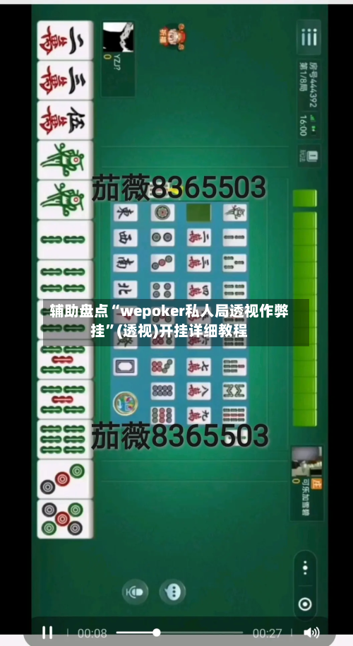 辅助盘点“wepoker私人局透视作弊挂	”(透视)开挂详细教程-第2张图片