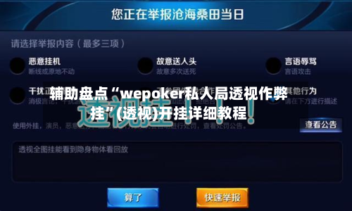 辅助盘点“wepoker私人局透视作弊挂”(透视)开挂详细教程-第3张图片