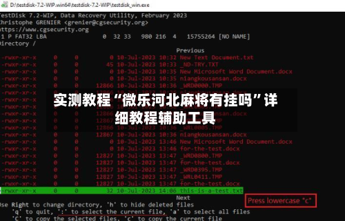 实测教程“微乐河北麻将有挂吗”详细教程辅助工具-第2张图片