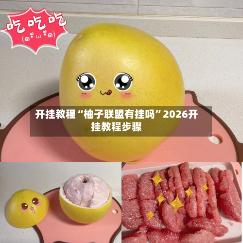 开挂教程“柚子联盟有挂吗”2026开挂教程步骤-第3张图片