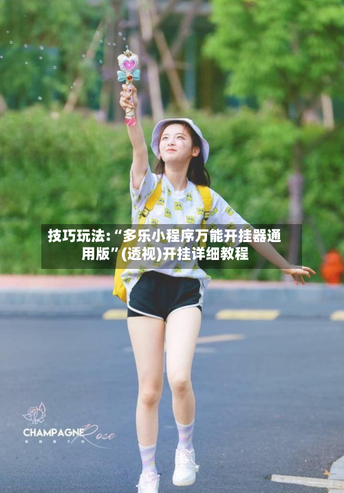 技巧玩法:“多乐小程序万能开挂器通用版”(透视)开挂详细教程-第2张图片